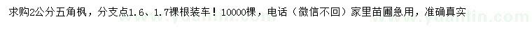 求購2公分五角楓