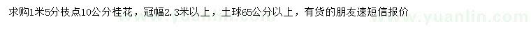 求購10公分桂花