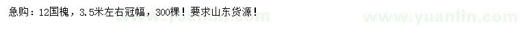 求購12公分國槐