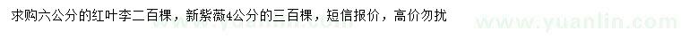 求購6公分紅葉李、4公分紫薇