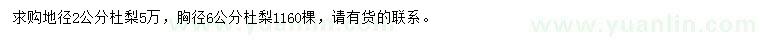 求購地徑2公分杜梨、胸徑6公分杜梨