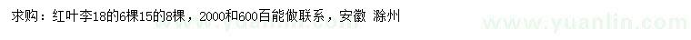 求購15、18公分紅葉李