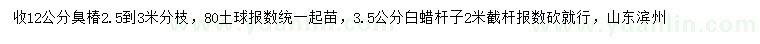 求購(gòu)12公分臭椿、3.5公分白蠟