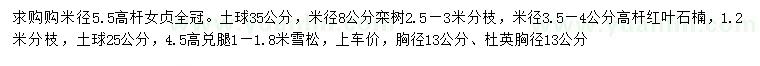 求購高桿女貞、欒樹、高桿紅葉石楠等