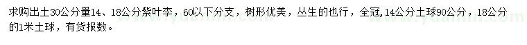 求購30量14、18公分紫葉李