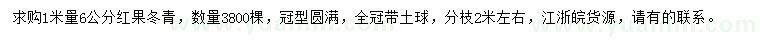 求購米徑6公分紅果冬青