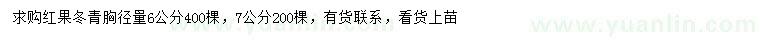求購胸徑6、7公分紅果冬青