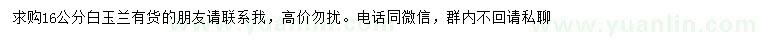 求購16公分白玉蘭
