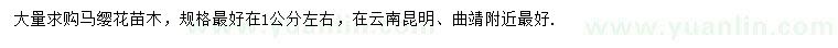 求購1公分馬纓花