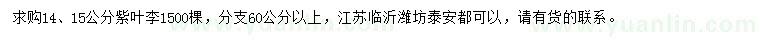求購14、15公分紫葉李