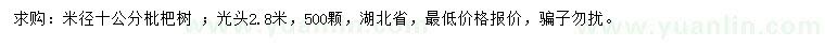 求購米徑10公分枇杷樹