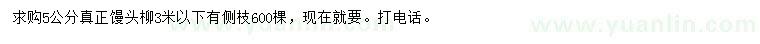 求購5公分饅頭柳