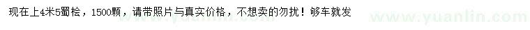 求購4.5米蜀檜