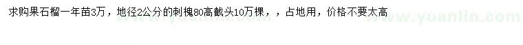 求購果石榴、地徑2公分刺槐