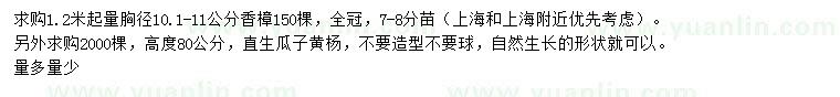求購1.2米量10.1-11公分香樟、高80公分瓜子黃楊