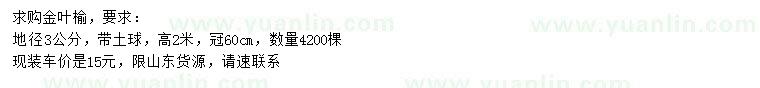 求購地徑3公分金葉榆
