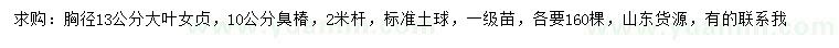 求購胸徑13公分大葉女貞、10公分臭椿