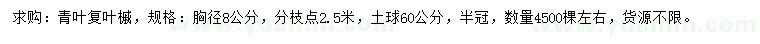 求購胸徑8公分青葉復(fù)葉槭
