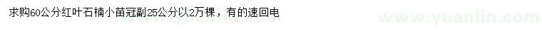求購60公分紅葉石楠小苗
