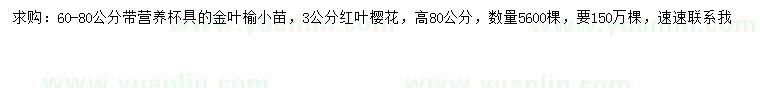 求購(gòu)60-80公分金葉榆小苗、3公分紅葉櫻花