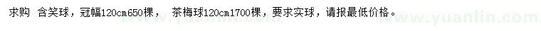 求購120公分含笑球、茶梅球