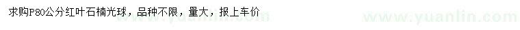 求購冠幅80公分紅葉石楠光球