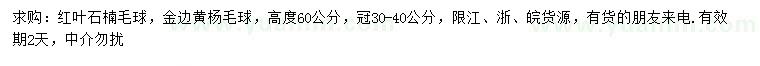 求購(gòu)高60公分紅葉石楠毛球、金邊黃楊毛球