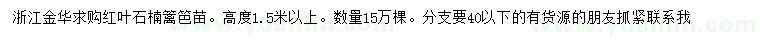 求購高1.5米以上紅葉石楠