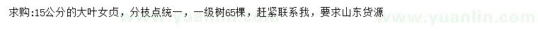 求購15公分大葉女貞