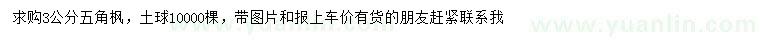 求購3公分五角楓
