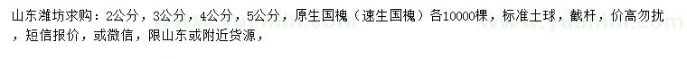 求購(gòu)2、3、4、5公分速生國(guó)槐