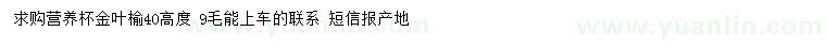 求購高40公分金葉榆