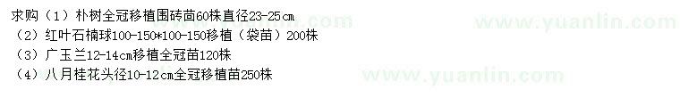 求購(gòu)樸樹、紅葉石楠球、廣玉蘭等