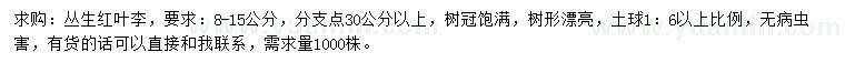 求購(gòu)8-15公分叢生紅葉李