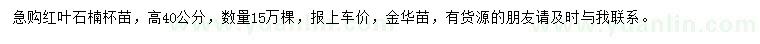 求購40公分紅葉石楠