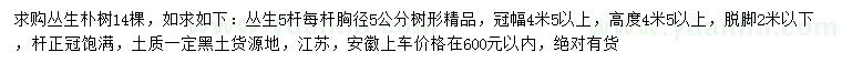 求購冠幅4.5米以上叢生樸樹