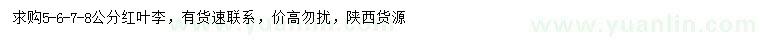 求購(gòu)5、6、7、8公分紅葉李