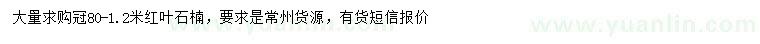 求購冠幅80-120公分紅葉石楠