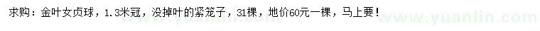求購冠幅1.3米金葉女貞球