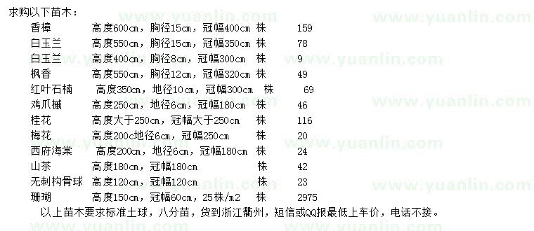 求購(gòu)香樟、白玉蘭、楓香等