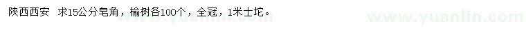 求購(gòu)15公分皂角、榆樹
