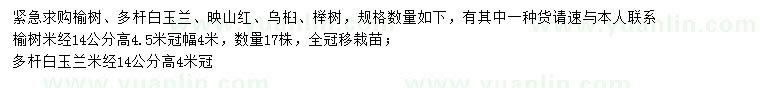 求購榆樹、多桿白玉蘭、映山紅等