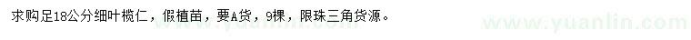 求購18公分細葉欖仁
