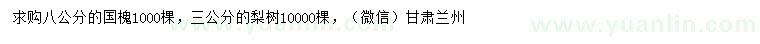 求購(gòu)8公分國(guó)槐、3公分梨樹(shù)