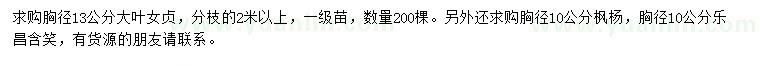 求購大葉女貞、楓楊、樂昌含笑