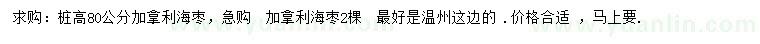 求購樁高80公分加拿利海棗