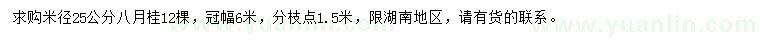 求購米徑25公分八月桂