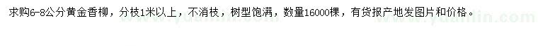 求購6-8公分黃金香柳