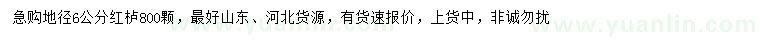 求購地徑6公分紅櫨