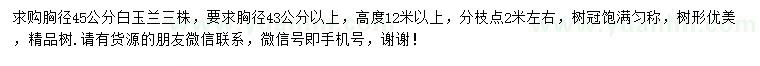 求購(gòu)胸徑43公分以上白玉蘭